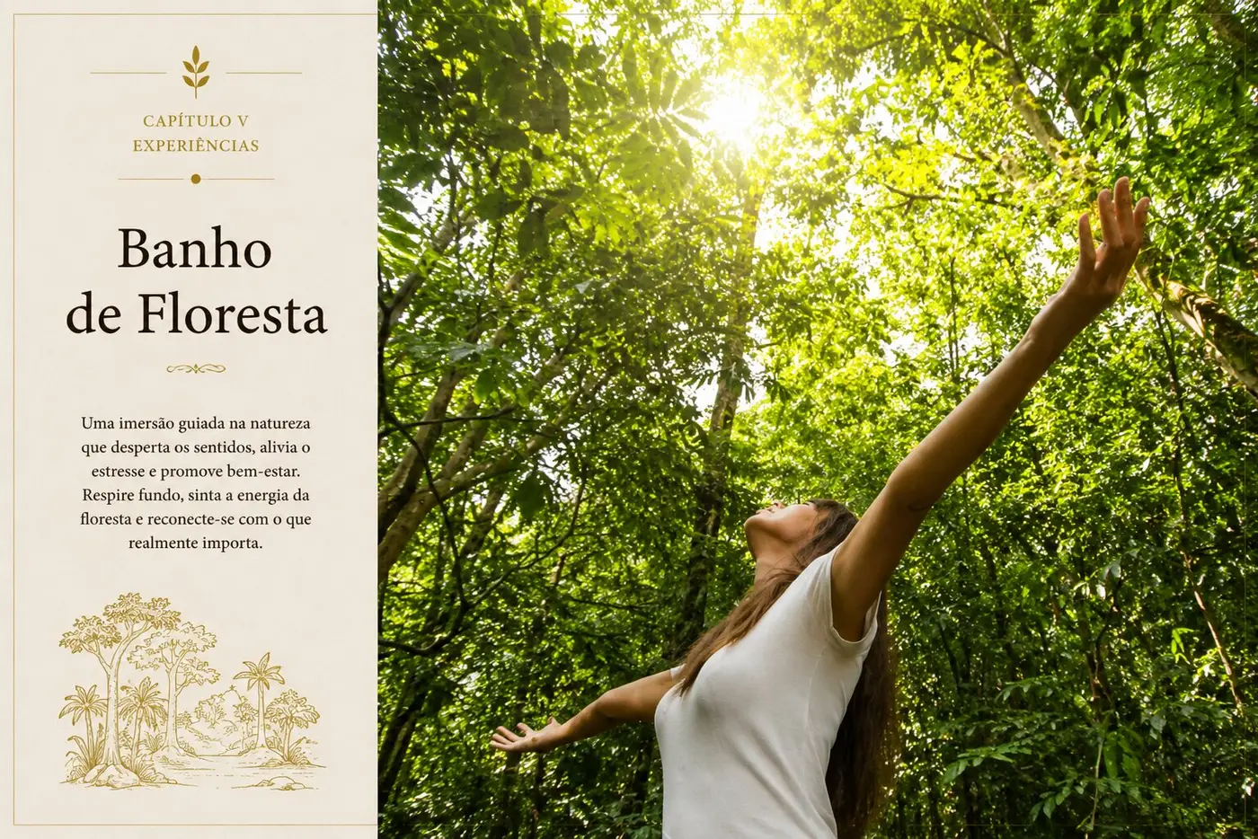Hóspede em contemplação entre as árvores da Mata Atlântica